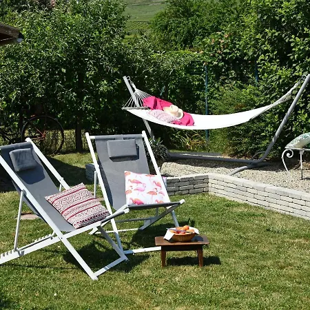 Alsacien 75m² Avec 2 Chambres, Climatisation, Jardin Prive, Proche Colmar Et Mulhouse - Fr-1-744-2 Bergholtz