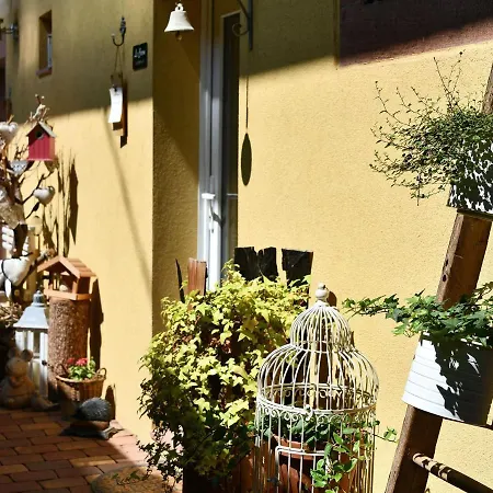 Alsacien 75m² Avec 2 Chambres, Climatisation, Jardin Prive, Proche Colmar Et Mulhouse - Fr-1-744-2 * Bergholtz