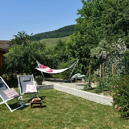 Alsacien 75m² Avec 2 Chambres, Climatisation, Jardin Prive, Proche Colmar Et Mulhouse - Fr-1-744-2 Landhuis Bergholtz