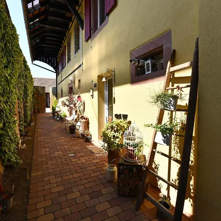 Alsacien 75m² Avec 2 Chambres, Climatisation, Jardin Prive, Proche Colmar Et Mulhouse - Fr-1-744-2